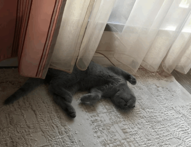 hstatsarcade tutorial guide by hearthstats