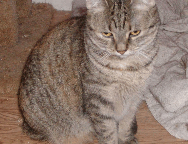 playing returnalgirl