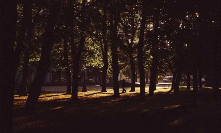 why biszoxtall software is needed