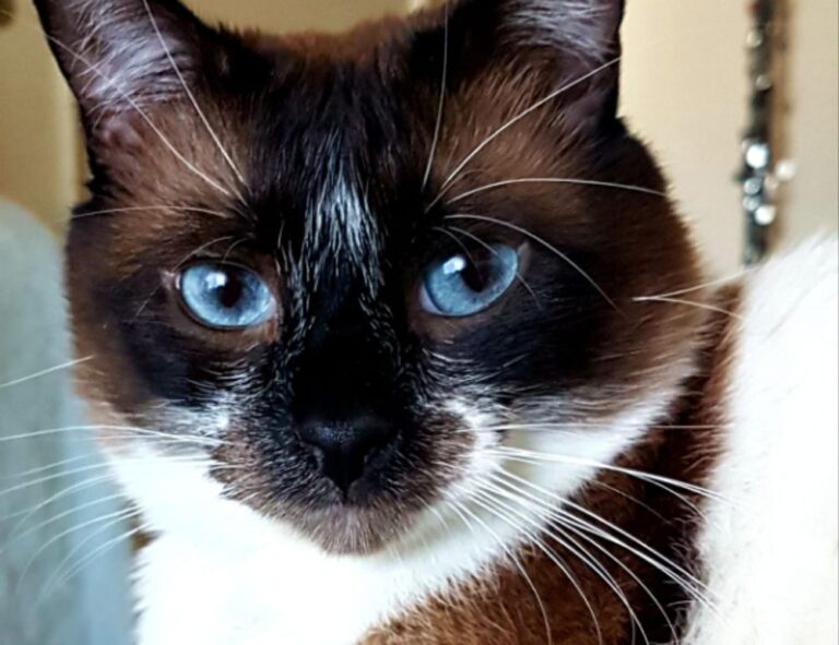 Home game news digitalrgsorg