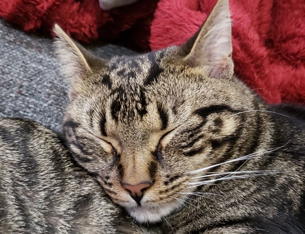 tech articles digitalrgsorg