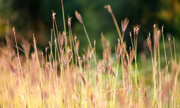 Home tech updates digitalrgsorg