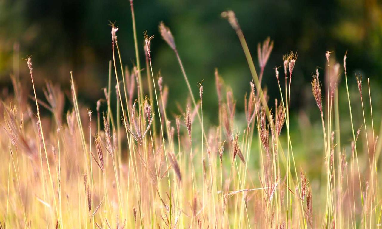 tech updates digitalrgsorg