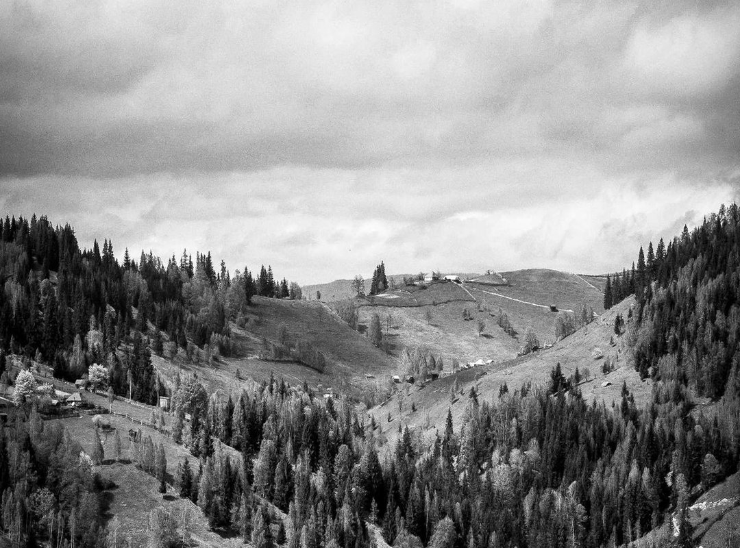 Making Your Final Selection: The Right Image for Your Project