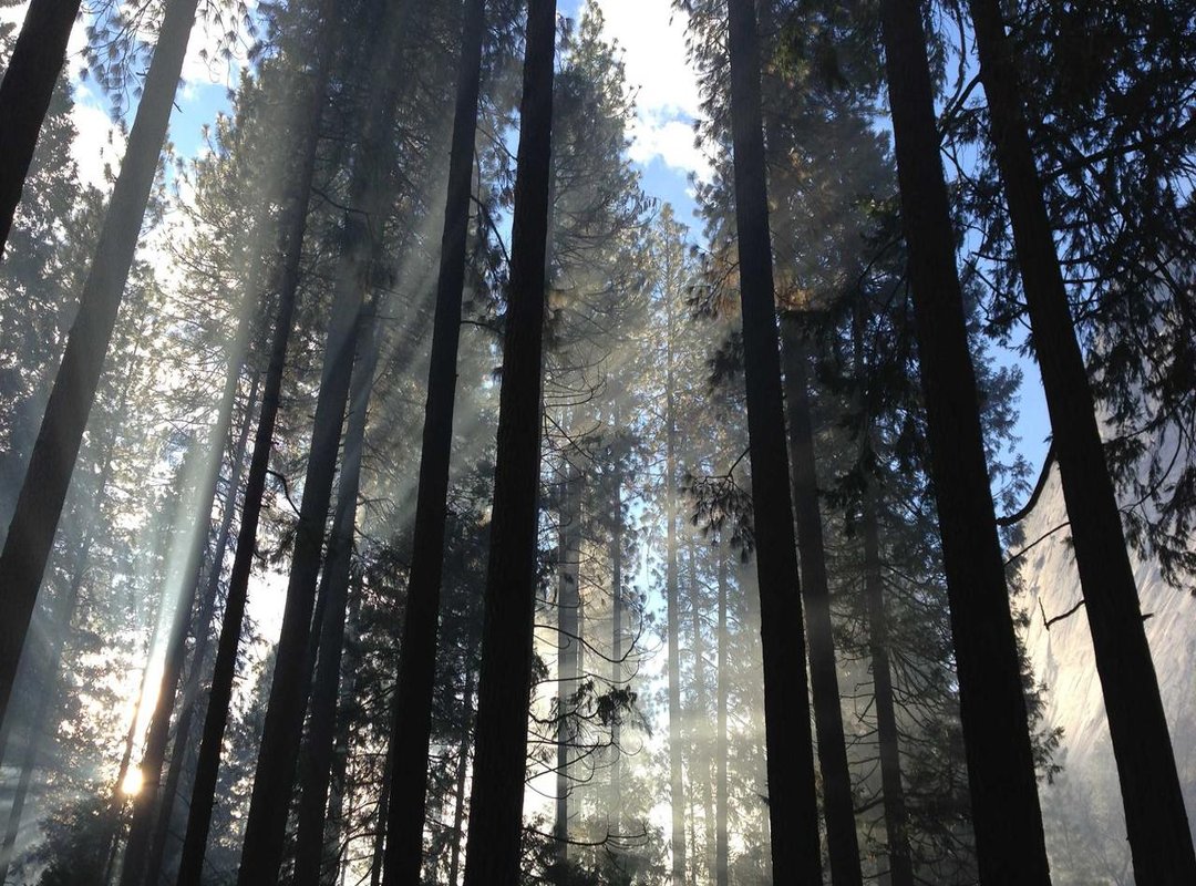 Possibility 2: Its Use in Media and Digital Content