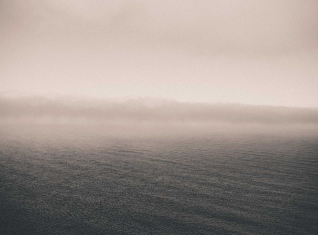 Reported Benefits: Why People Commit to a Meat-Only Diet