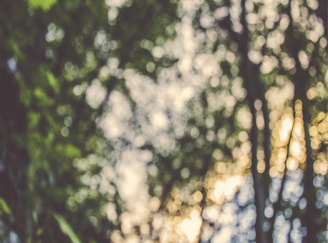 Staying Safe: Privacy and Security Tips