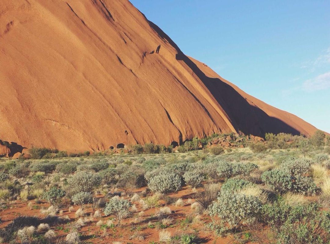 Getting Started: A Simple Guide