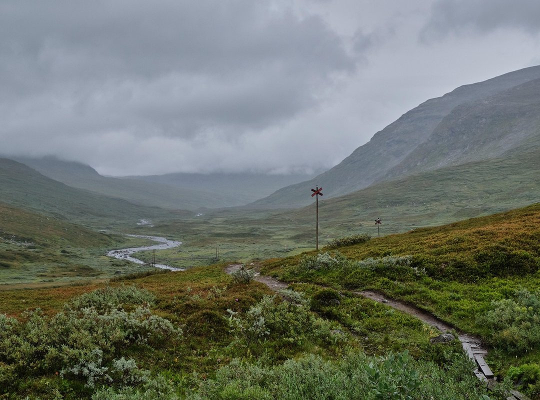 Top 3 Modern Hiking Shoes for Jungle and River Treks