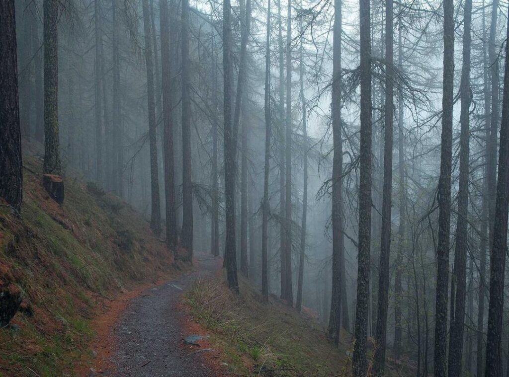 kuumin iltasanomat viihde