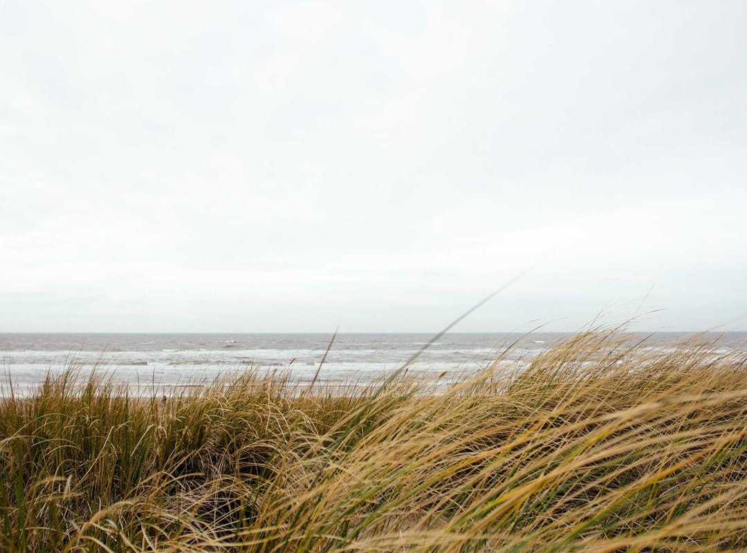 Tracing the Origins: Is the Story of Lady K Real?