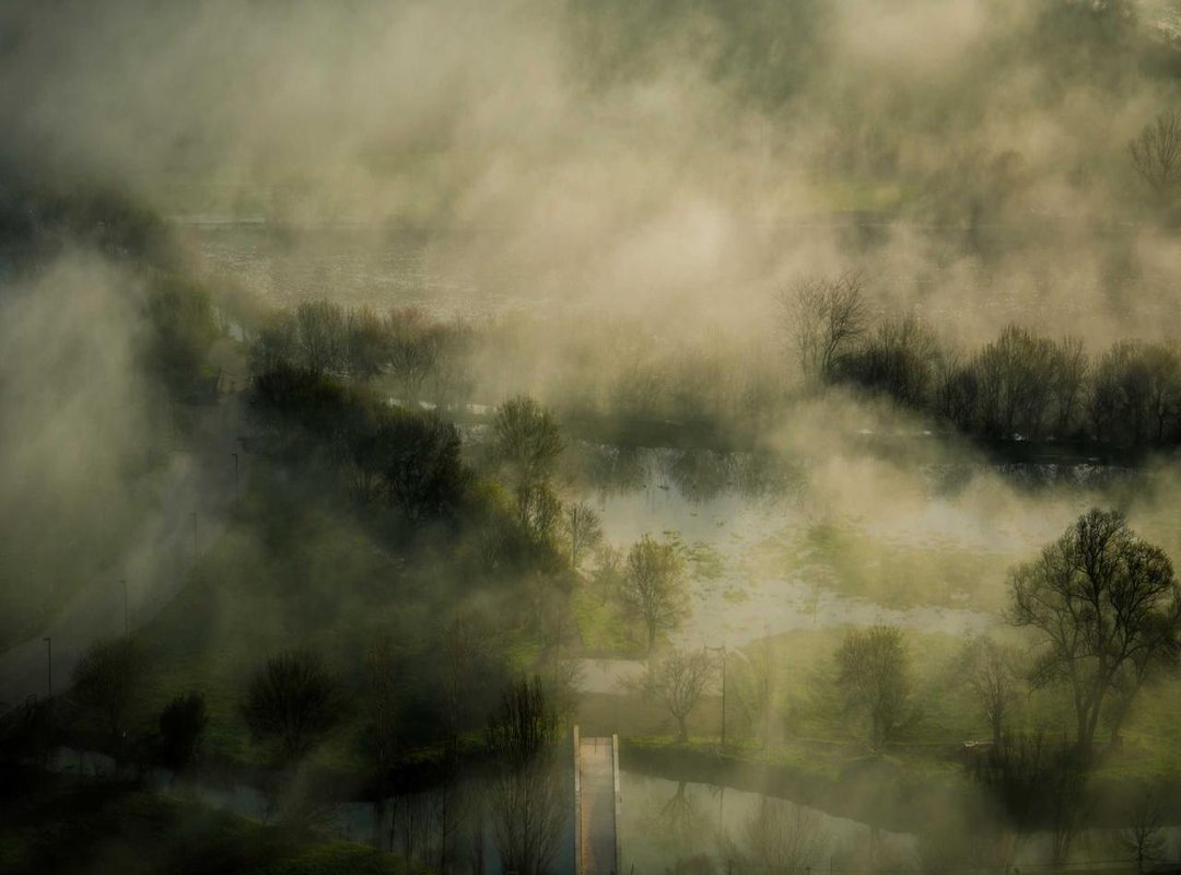 The Buyer's Checklist: 4 Things to Check Before You Buy