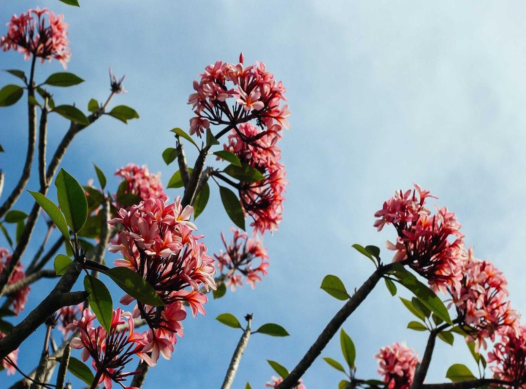 Verses on Hope and Mercy (Amal and Rahmah)