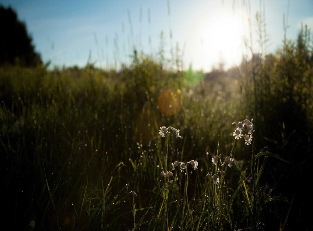 The Cultural Context: Why These Lyrics Resonate in Emo Rap