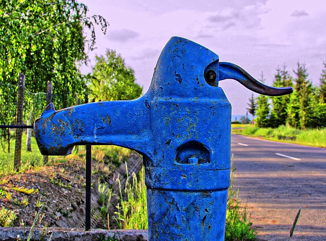 Navigating Public Image and Scrutiny