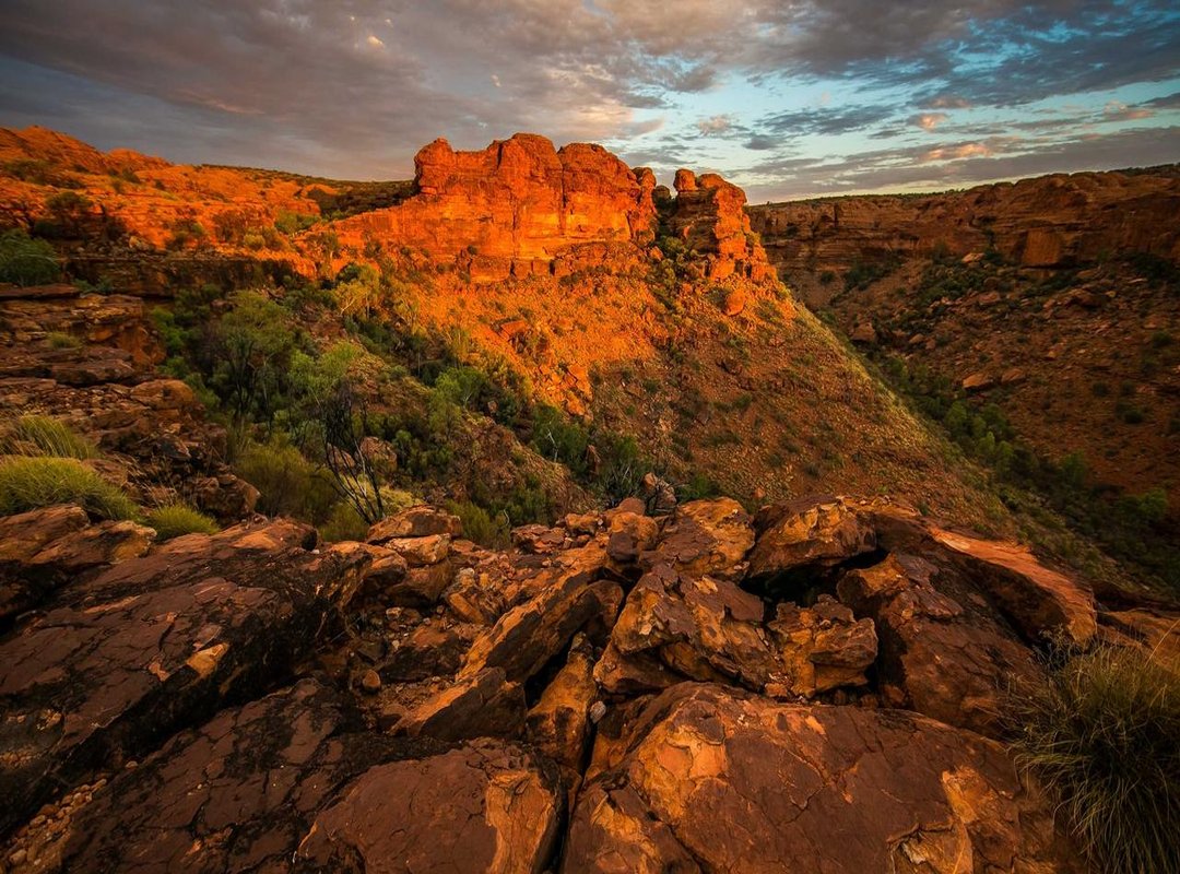 Top Picks: Best Blue Wines at Mercadona