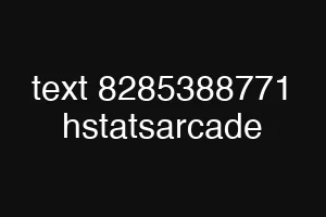 text 8285388771 hstatsarcade